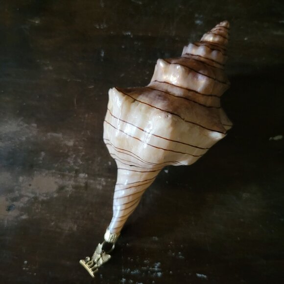 2011 Neiman Marcus Shell Christmas Ornament, Whelk Shell Ornament - Picture 2 of 8